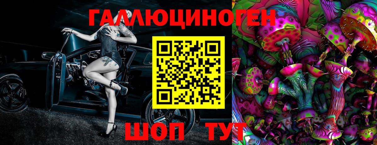 Комсомольск-на-Амуре  Псилоцибиновые грибы Psilocybe  Вход с VPN 