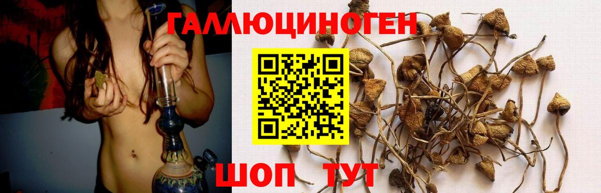 Псилоцибиновые грибы ЛСД Комсомольск-на-Амуре