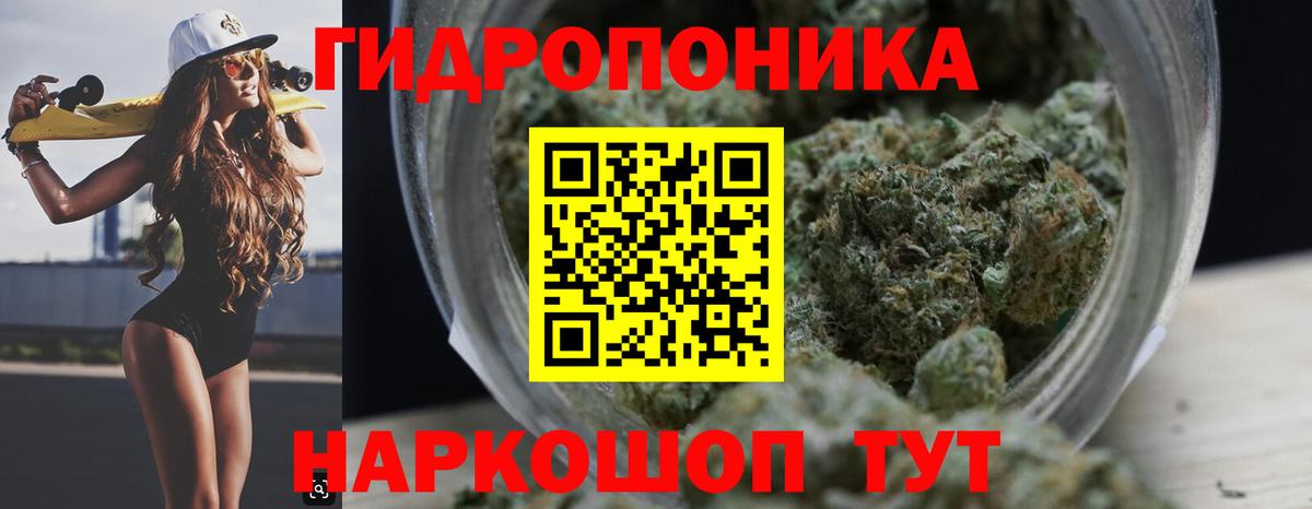 Каннабис Bruce Banner  Марихуана план  Вход с VPN  Комсомольск-на-Амуре  Канабис индика 